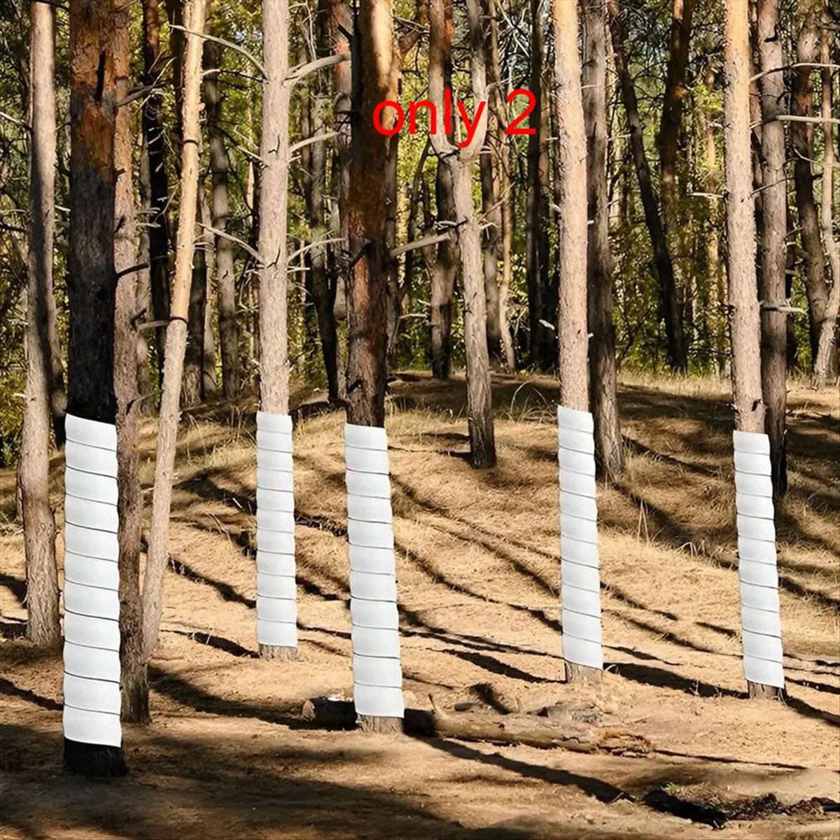 Protetor de Tronco de Árvore A - Gardening Tools B&M avaliação e preço