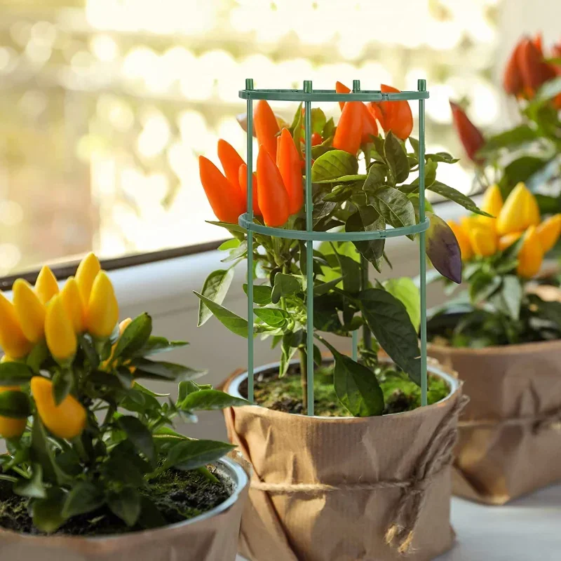 Suporte de plástico para plant - Gardening Tools Range avaliação e preço