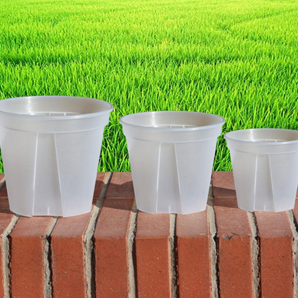 Vasos de plástico transparente - Gardening Tools Wholesale avaliação e preço