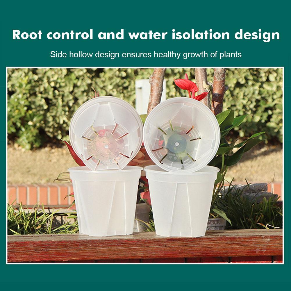 Vasos de plástico transparente - Gardening Tools Wholesale avaliação e preço